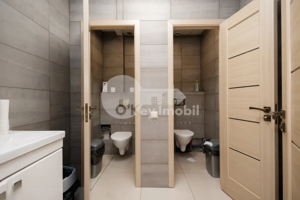 Офис, Ботаника, ДЕЧЕБАЛ