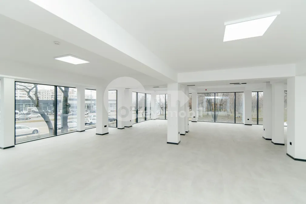 Oficiu, Botanica, DACIA