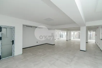 Офис, Ботаника, ДАЧИЯ