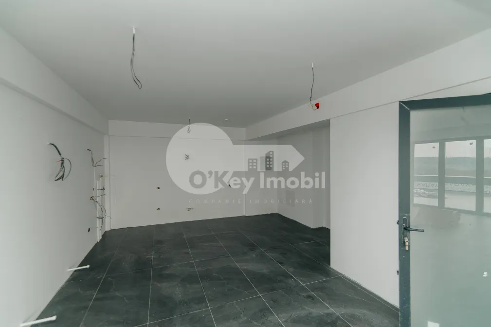 Офис, Ботаника, ДАЧИЯ