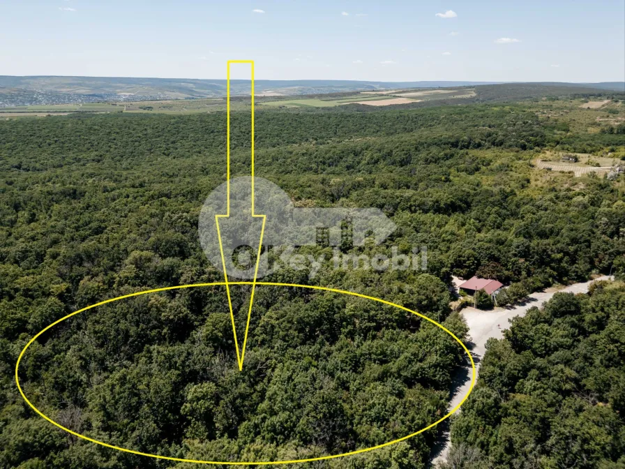 Земельный участок, ЯЛОВЕНЫ