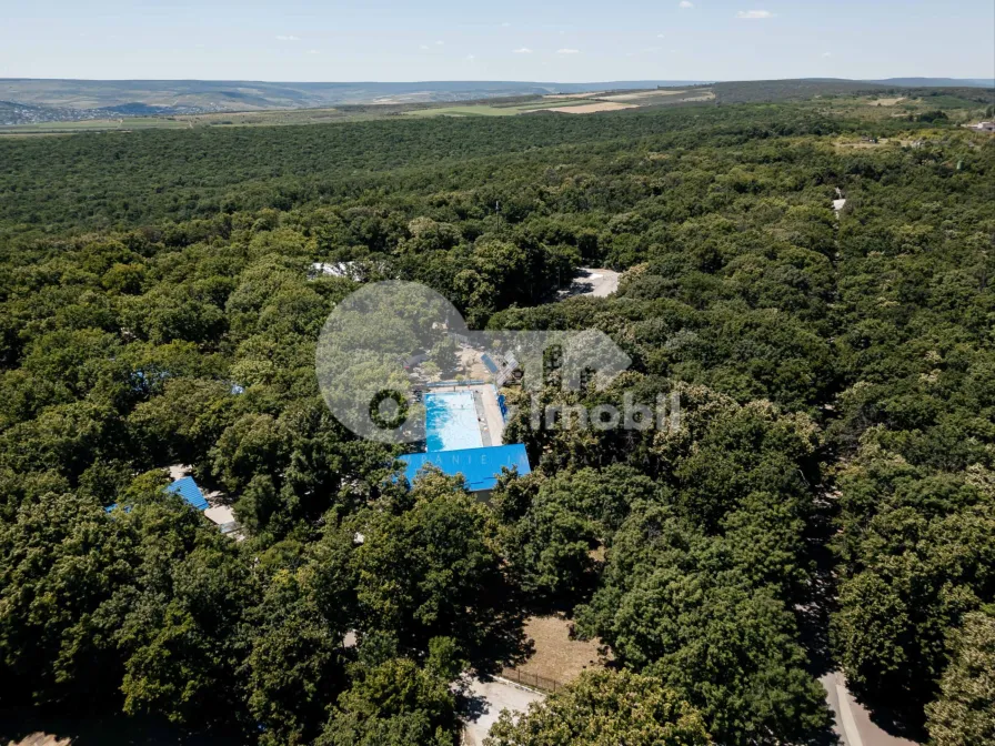 Земельный участок, ЯЛОВЕНЫ