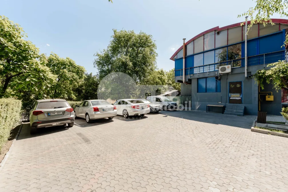 Spațiu comercial, Centru, ALBIȘOARA