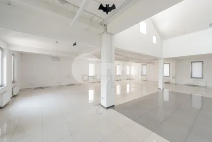 Oficiu, Centru, ALEXANDRU HÂJDEU