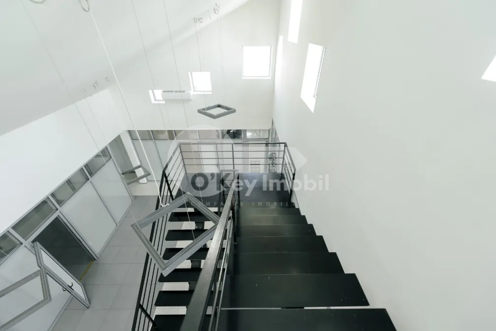 Oficiu, Centru, ALEXANDRU HÂJDEU