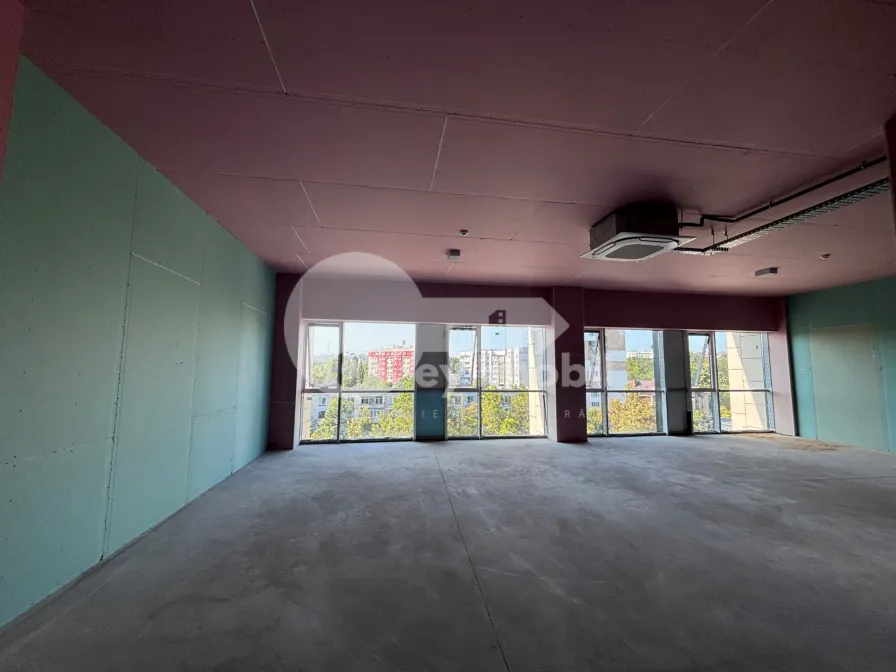 Oficiu, Buiucani, CALEA IEȘILOR