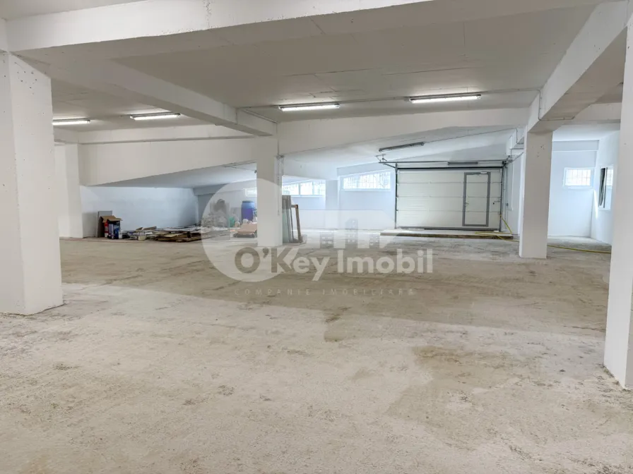 Spațiu pentru producere, Râșcani, SERGIU RĂDĂUȚANU