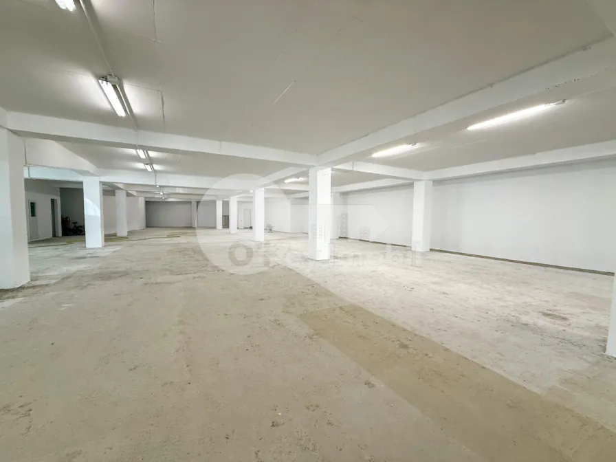 Spațiu pentru producere, Râșcani, SERGIU RĂDĂUȚANU