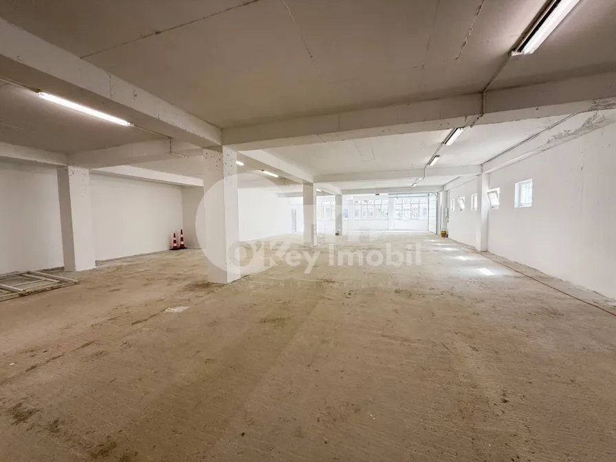 Spațiu pentru producere, Râșcani, SERGIU RĂDĂUȚANU