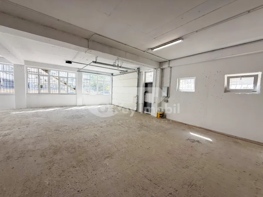 Spațiu pentru producere, Râșcani, SERGIU RĂDĂUȚANU