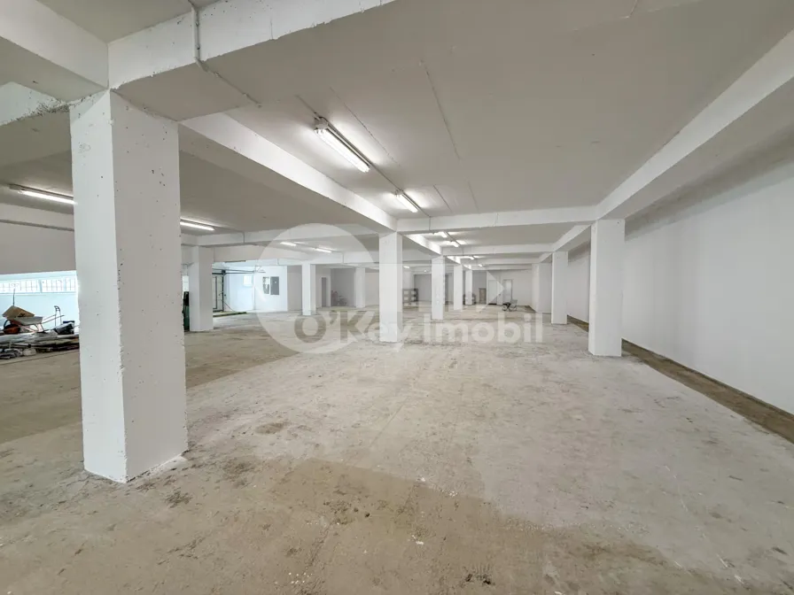 Spațiu pentru producere, Râșcani, SERGIU RĂDĂUȚANU