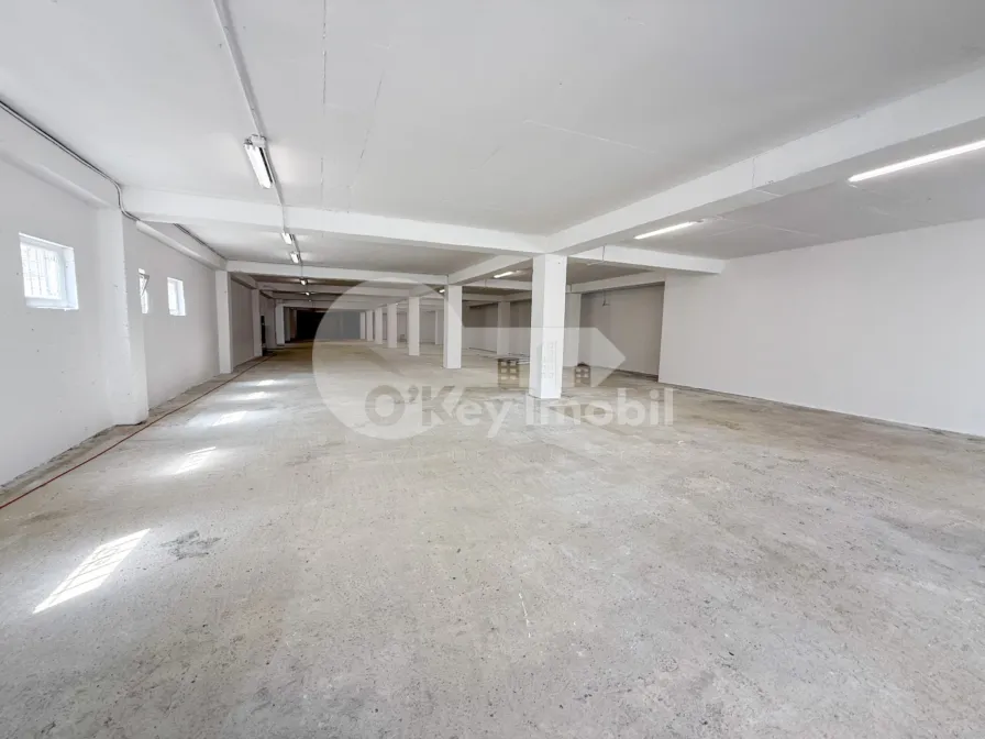 Spațiu pentru producere, Râșcani, SERGIU RĂDĂUȚANU