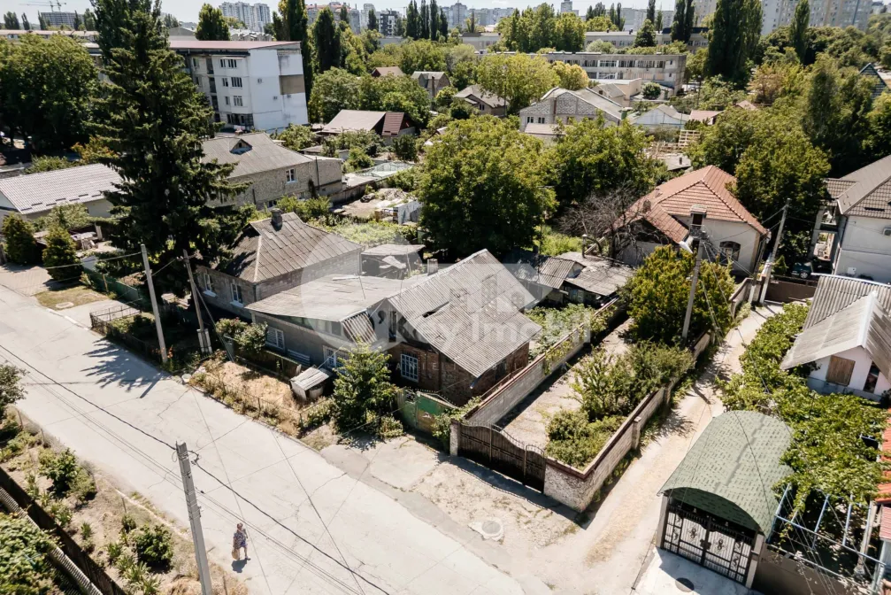 Teren, Botanica, PLAIULUI