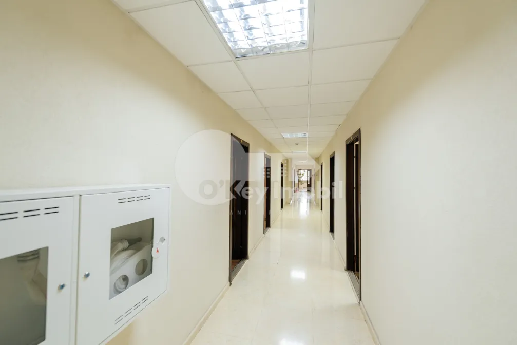 Комм. помещение, Центр, МИТРОПОЛИТ ДОСОФТЕЙ