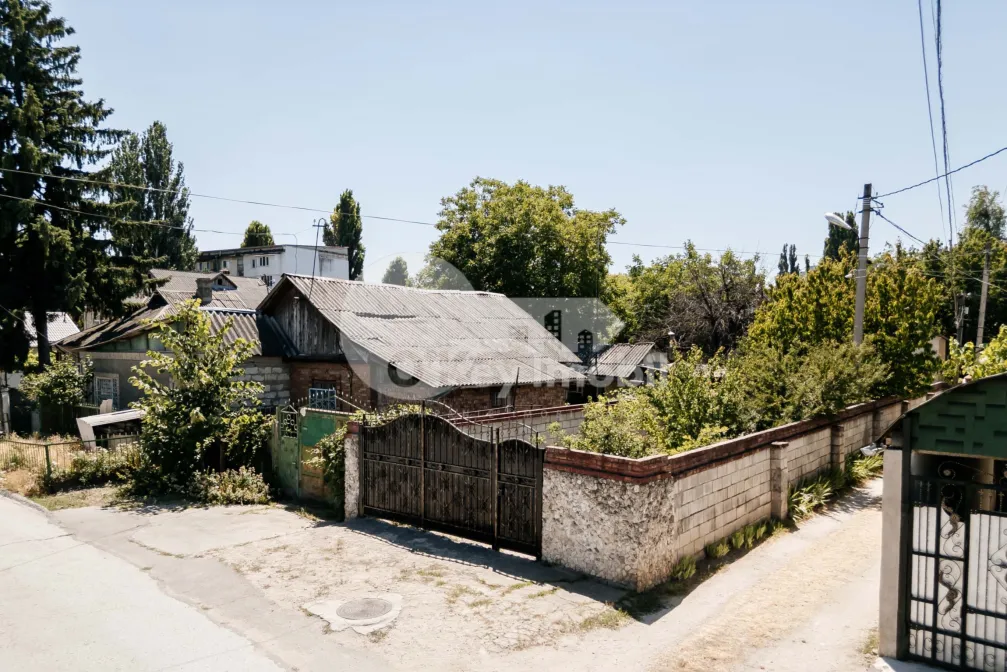 Teren, Botanica, PLAIULUI