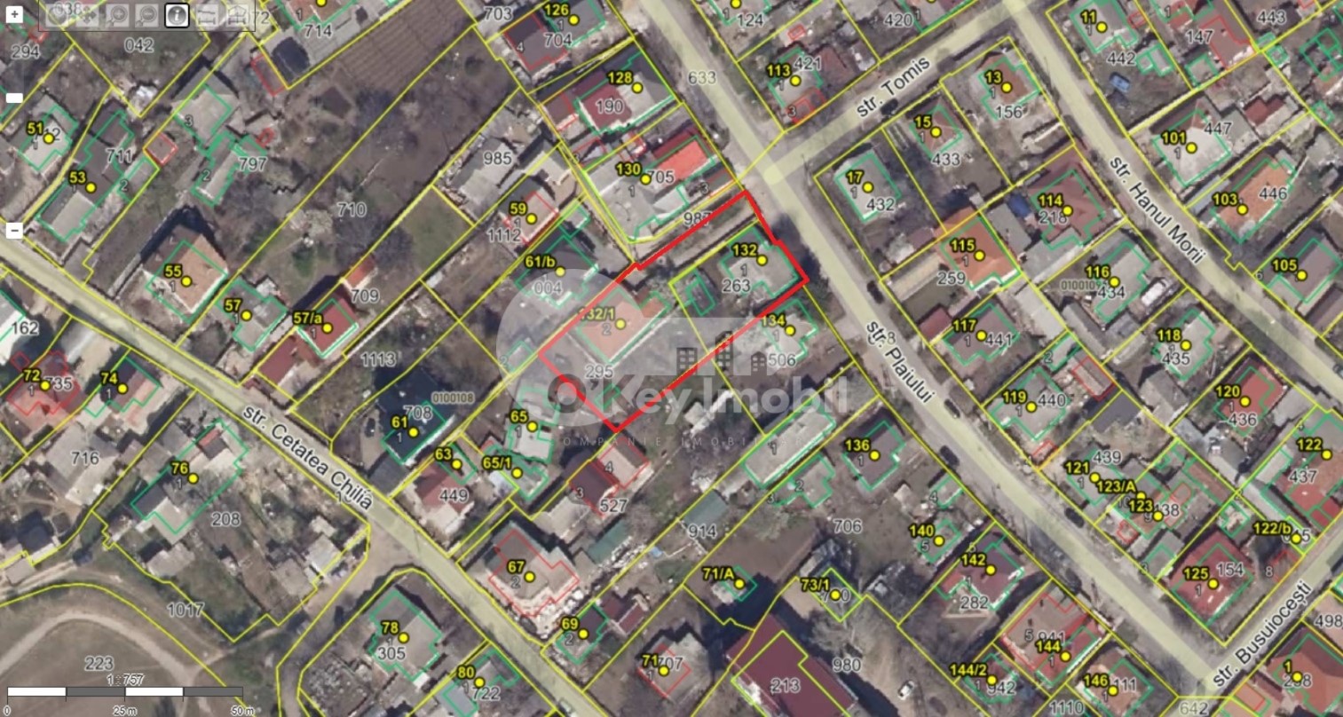 Teren, Botanica, PLAIULUI