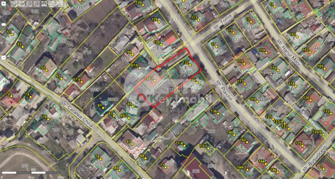 Teren, Botanica, PLAIULUI