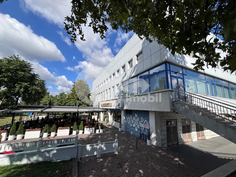 Oficiu, Centru, ȘTEFAN CEL MARE