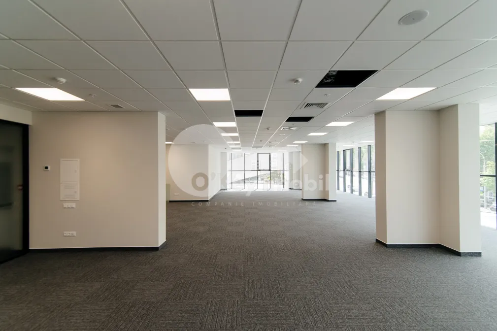 Oficiu, Centru, MIHAI VITEAZU