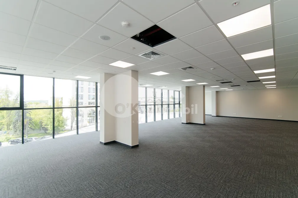 Oficiu, Centru, MIHAI VITEAZU