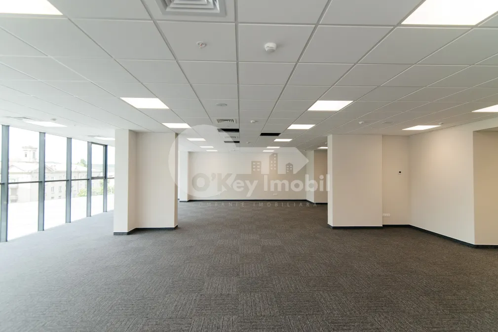 Oficiu, Centru, MIHAI VITEAZU