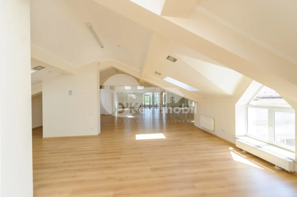 Офис, Центр, БЭНУЛЕСКУ БОДОНИ