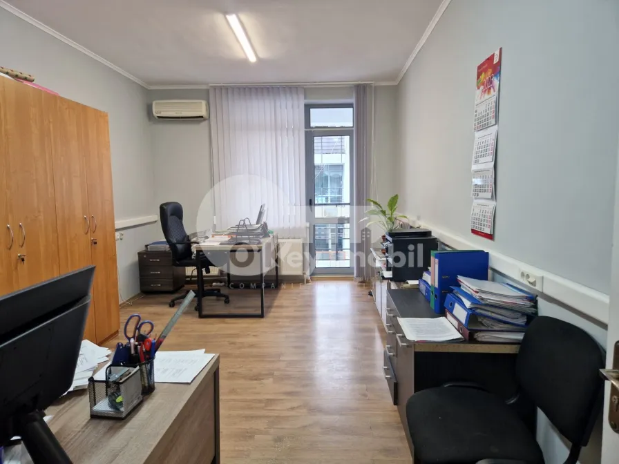 Oficiu, Centru,  ALEXANDR PUȘKIN