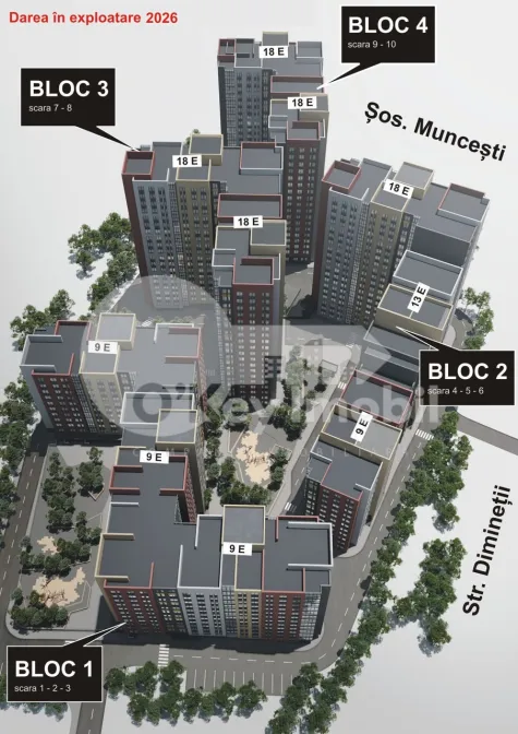 Квартира, Ботаника, ДИМИНЕЦИЙ