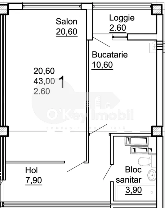 Apartament, COJUȘNA