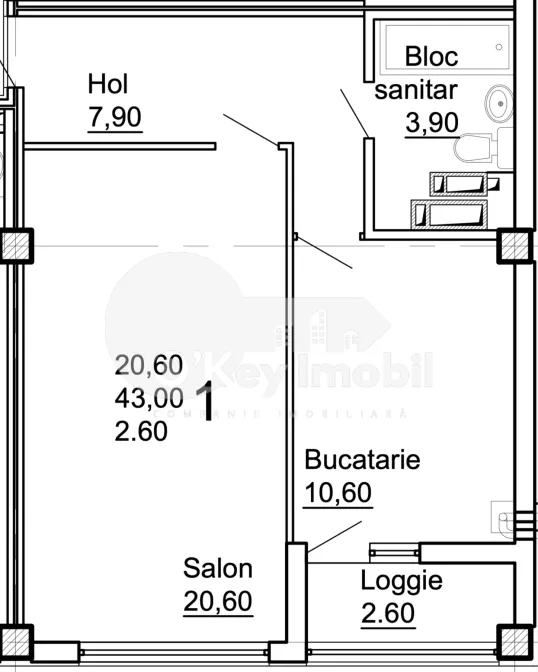 Apartament, COJUȘNA