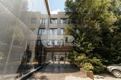 Oficiu, Buiucani, ION CREANGĂ