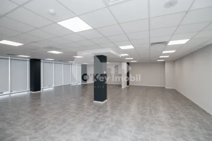 Офис, Ботаника, ДАЧИЯ