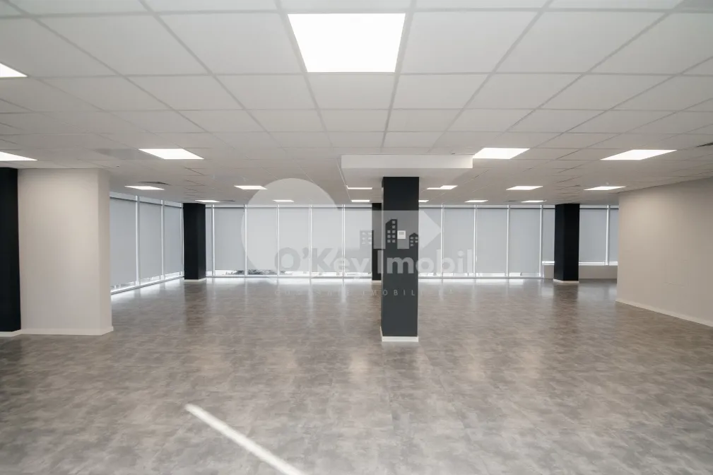 Oficiu, Botanica, DACIA