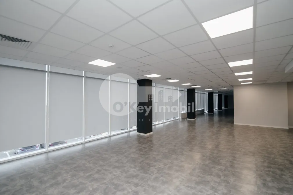 Oficiu, Botanica, DACIA