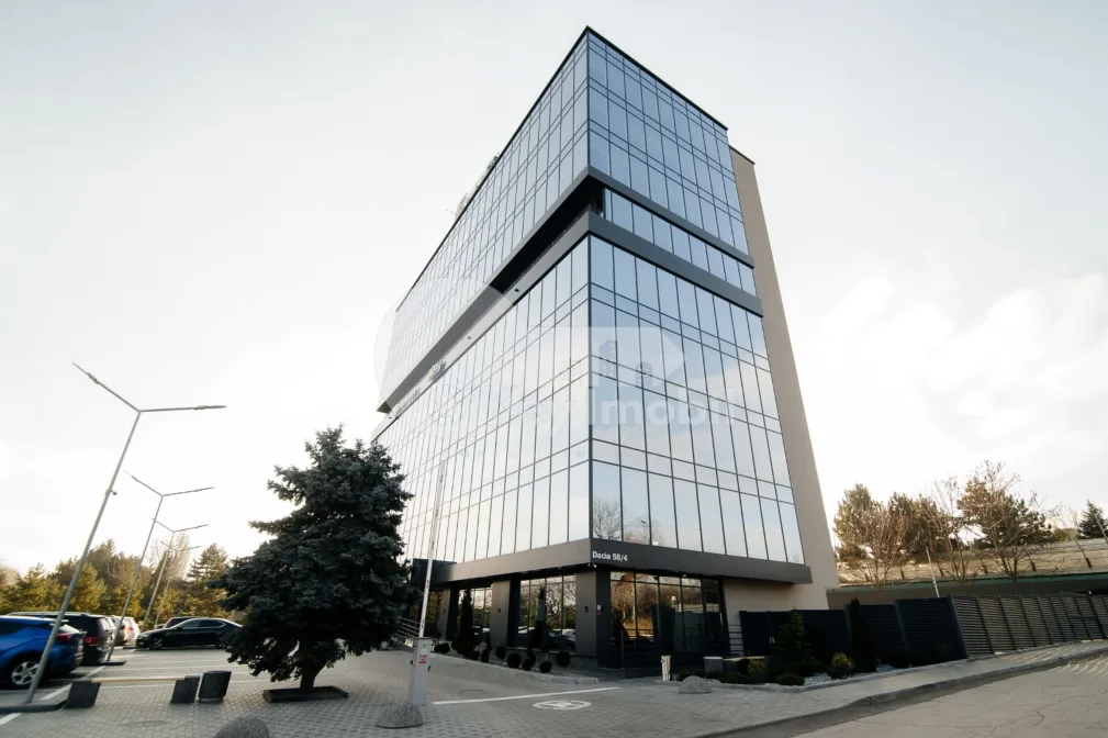 Oficiu, Botanica, DACIA