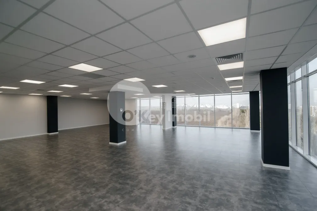 Oficiu, Botanica, BD. DACIA