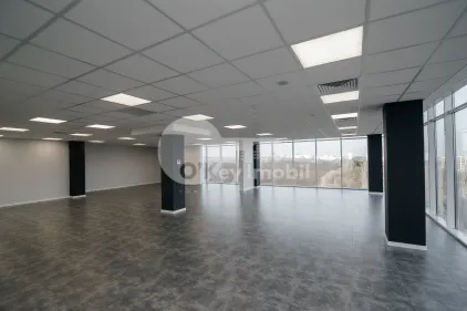 Офис, Ботаника, ДАЧИЯ