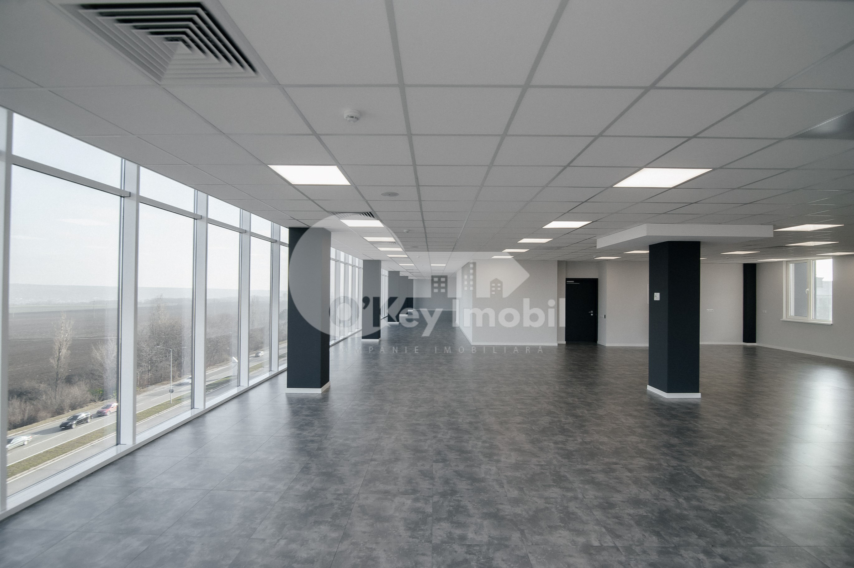 Oficiu, Botanica, BD. DACIA