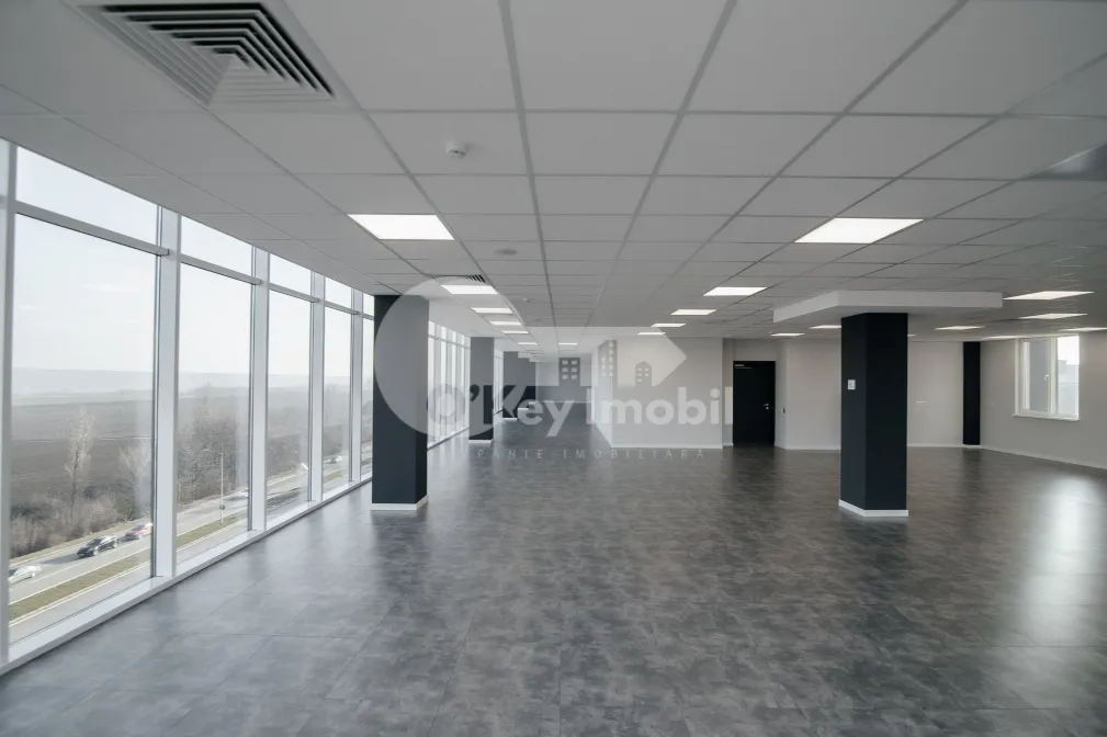 Oficiu, Botanica, BD. DACIA