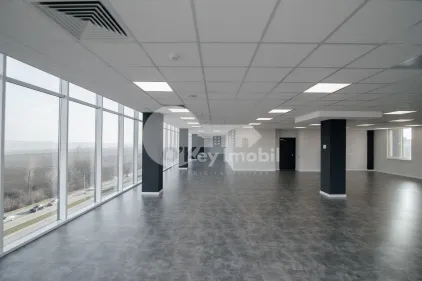 Офис, Ботаника, ДАЧИЯ