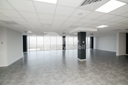 Офис, Ботаника, ДАЧИЯ