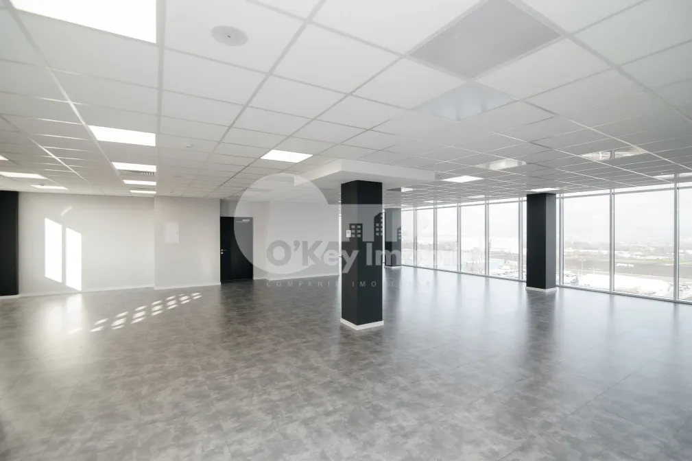 Oficiu, Botanica, BD. DACIA