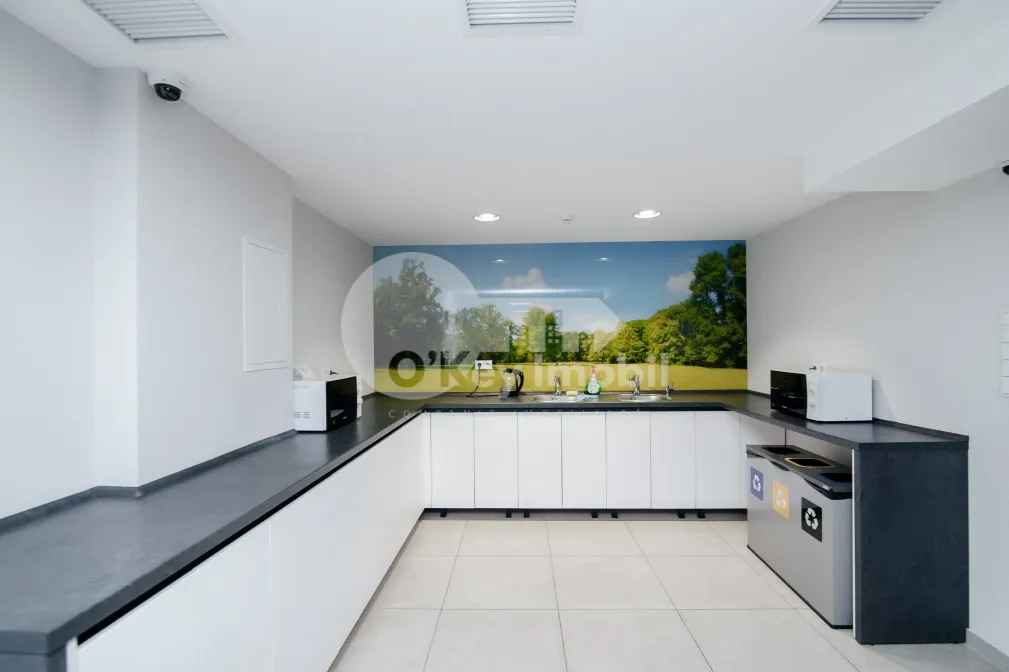 Oficiu, Botanica, BD. DACIA