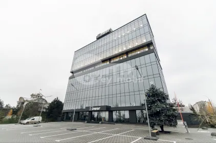 Офис, Ботаника, ДАЧИЯ