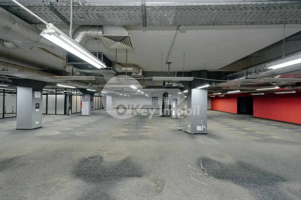 Комм. помещение, Ботаника, ДАЧИЯ