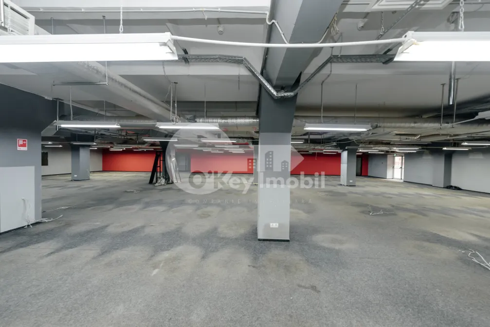 Комм. помещение, Ботаника, ДАЧИЯ