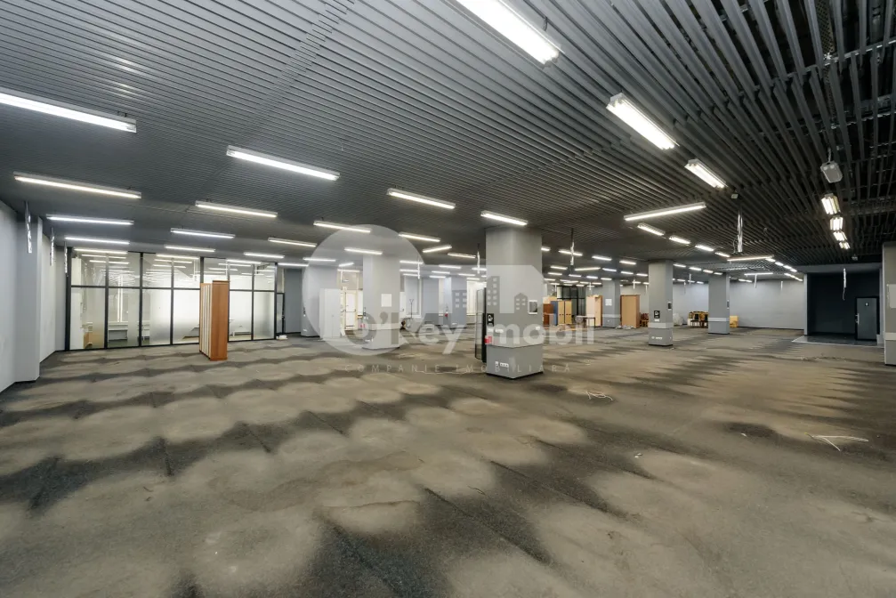 Комм. помещение, Ботаника, ДАЧИЯ