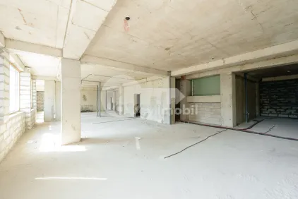 Комм. помещение, Рышкановка, Н. ДИМО