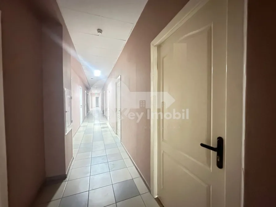 Oficiu, Botanica, DECEBAL