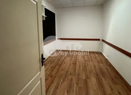 Офис, Ботаника, ДЕЧЕБАЛ